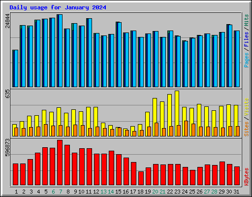 Daily usage for January 2024