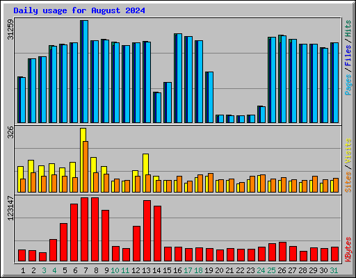 Daily usage for August 2024