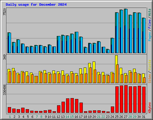 Daily usage for December 2024