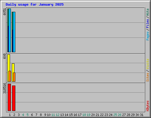 Daily usage for January 2025