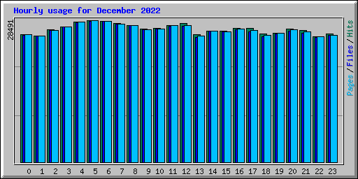 Hourly usage for December 2022