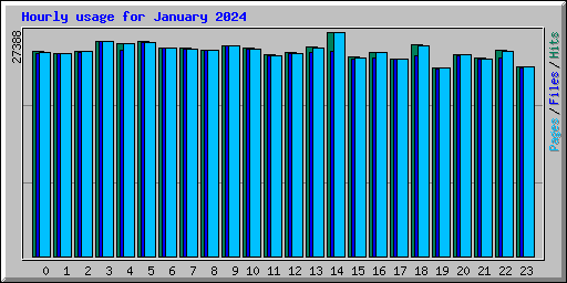 Hourly usage for January 2024