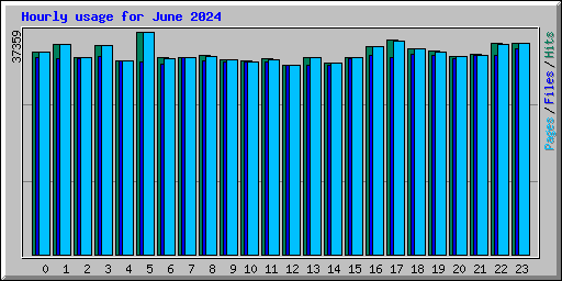 Hourly usage for June 2024