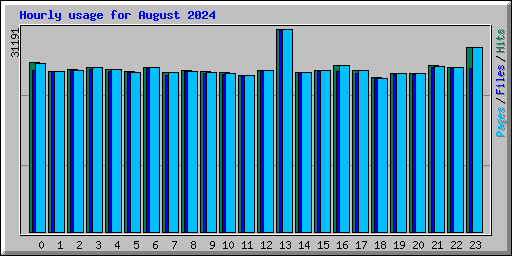 Hourly usage for August 2024