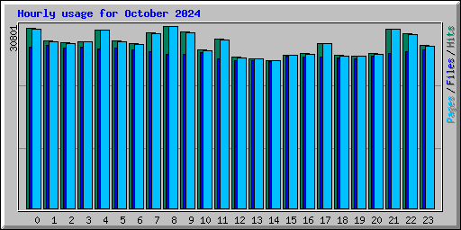 Hourly usage for October 2024