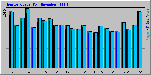 Hourly usage for November 2024