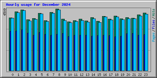 Hourly usage for December 2024