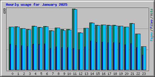 Hourly usage for January 2025