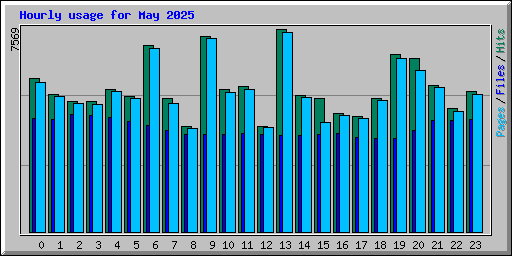 Hourly usage for May 2025