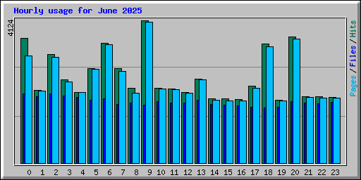 Hourly usage for June 2025