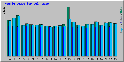 Hourly usage for July 2025