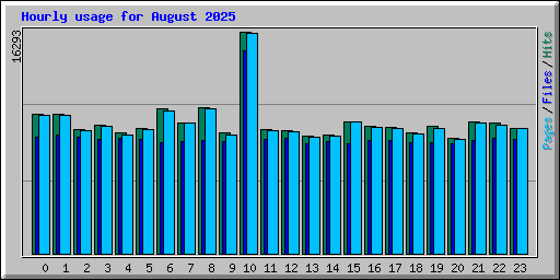 Hourly usage for August 2025
