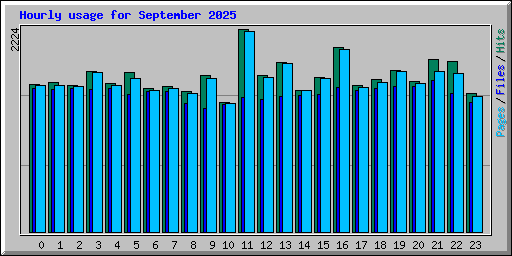 Hourly usage for September 2025