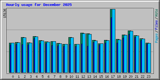 Hourly usage for December 2025