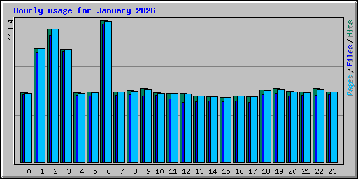 Hourly usage for January 2026