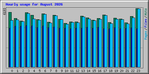 Hourly usage for August 2026